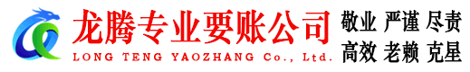 云龙追债公司